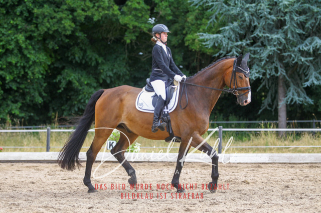 DKP45887 | Turniersportfotografie; Pferdefotografie; Dressurfotografie