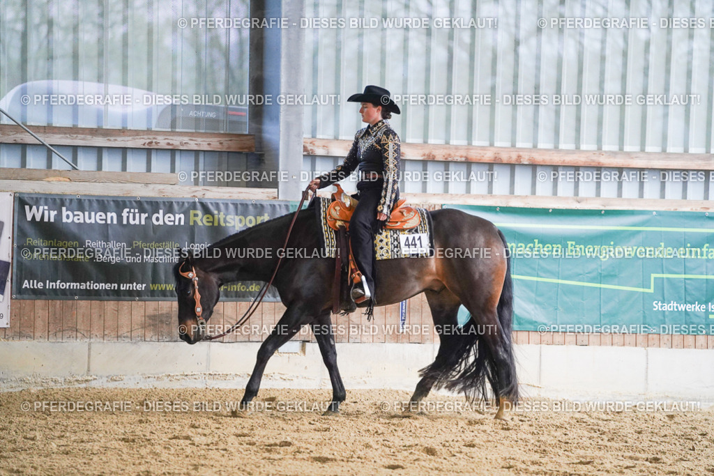 DSC08948 | Pferdegrafie