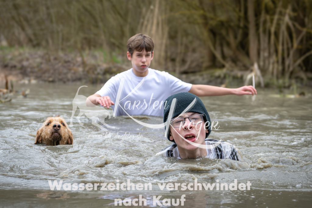 1408_ZZ96679 | kk-dogfotos