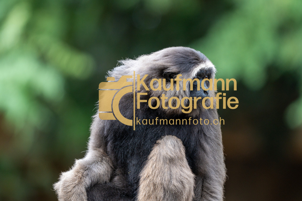 Jungle_Park_def-4426 | kaufmannfoto - Realisiert mit Pictrs.com