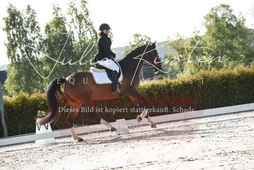 20230518_JK-Röhrsdorf-09-0734 | Pferde- und Turnierfotografie in Westsachsen. Pferdeportraits, Auftragszeichnungen und intuitive Kunst.