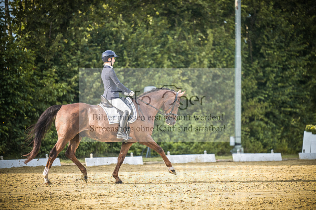 DOS_1246 | Entdecke hochwertige Reitturnierfotos von Foto Oger. Professionell, emotional und authentisch – jetzt Lieblingsmomente im Shop bestellen.Deutschlandweite Turnierfotografie. - Realisiert mit Pictrs.com