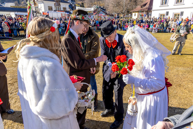 Bärentreiben in Steuerberg | Bildershop von pixelworld.at - Realisiert mit Pictrs.com