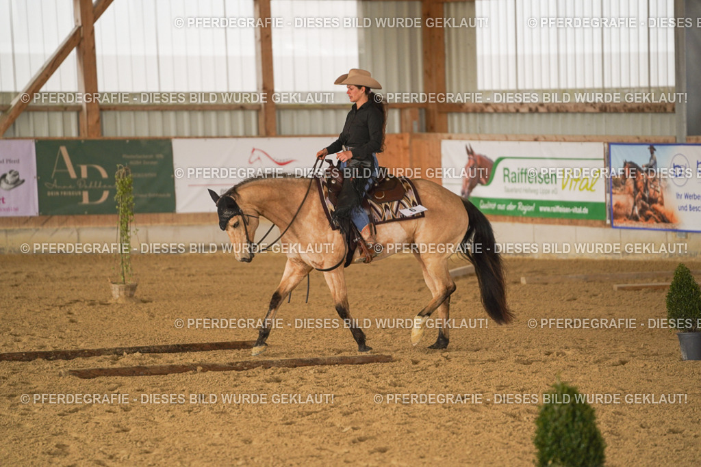 DSC01452 | Pferdegrafie