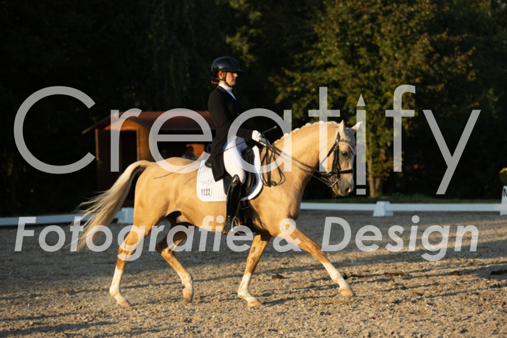 IMG_7349 | Creatify Fotografie