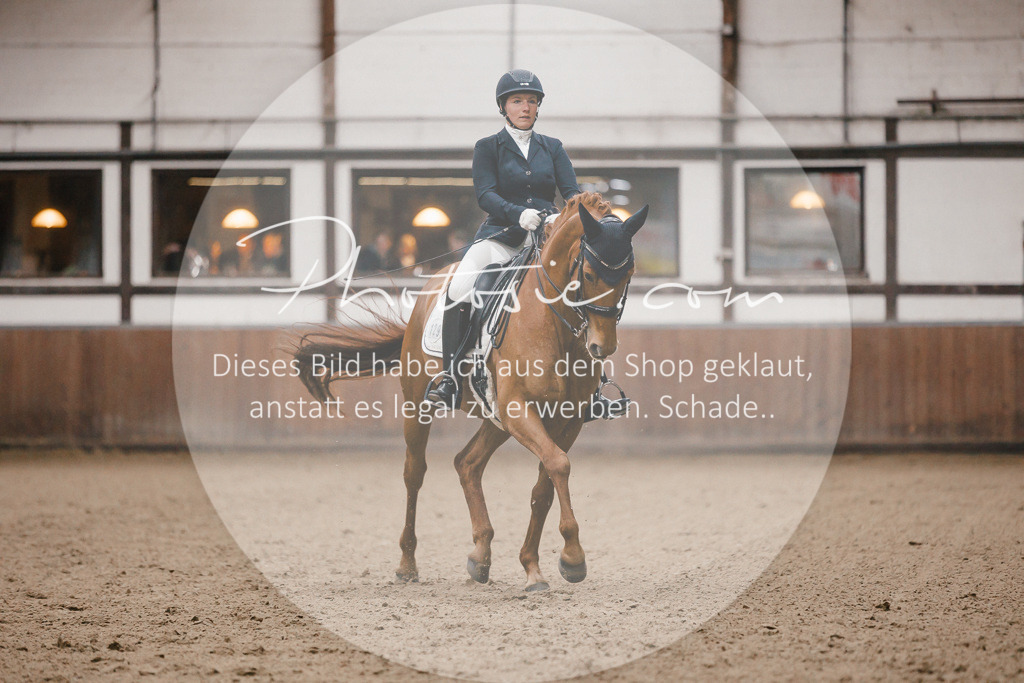 3I6A8882 | Stimmungsvolle Portraits und Reitsportfotografie im Ruhrgebiet und im Münsterland.

Pferdefotografie, Hundefotografie, Tierfotografie, Reportagen, Portraits von Tier und Mensch, Turnierfotografie in Bochum, Recklinghausen, Marl, Haltern am See, Dülmen.. - Realisiert mit Pictrs.com