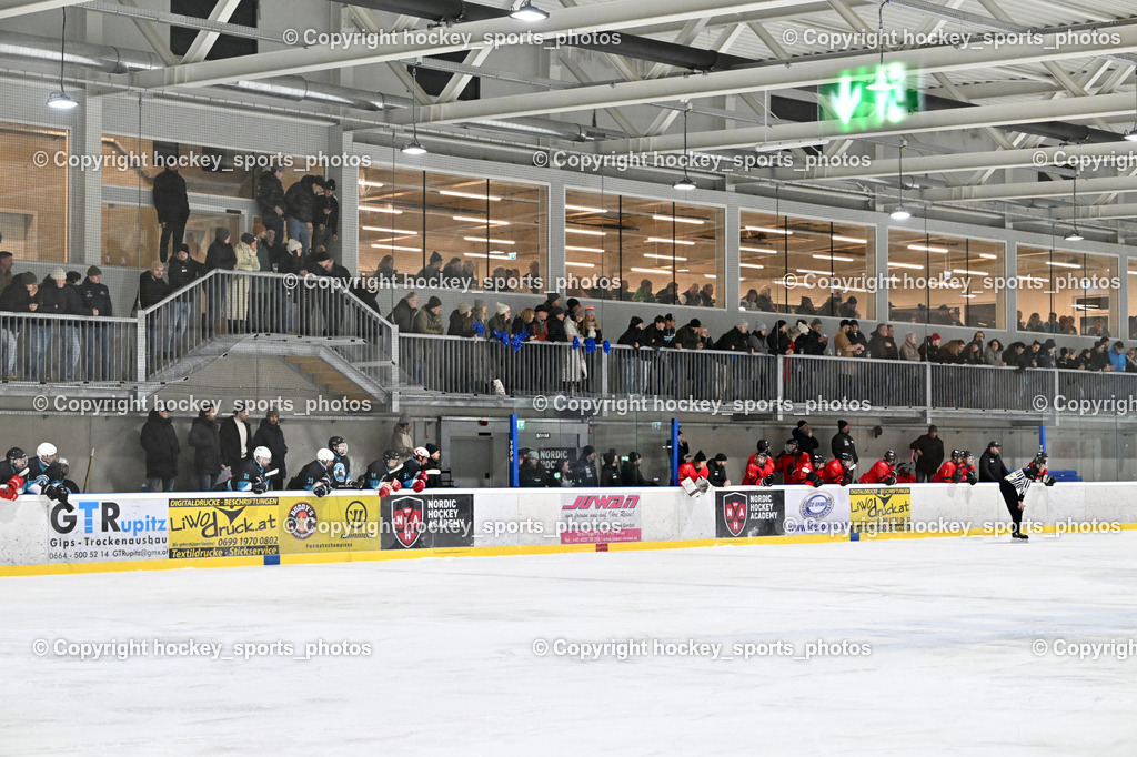 Lendhafen Seelöwen vs. Spartans Althofen | Besucher HTC Eishalle Ferlach, Lendhafen Seelöwen vs. Spartans Althofen, Lendhafen Seelöwen vs. Spartans Althofen am 14.02.2025 in Ferlach (HTC Eishalle Ferlach), Austria, (Photo by Bernd Stefan)