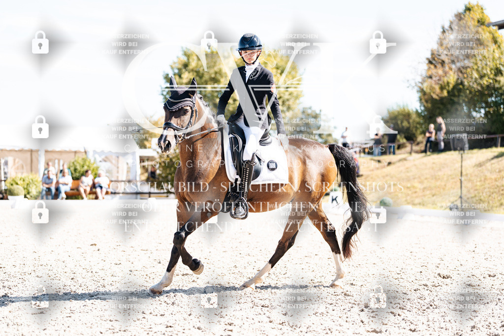 CK909652 | Turnierfotografie Pferdefotografie Trier Rheinland-Pfalz Pferdesport Reitsport Tierfotografie Sportfotografie Pferdevideo Pferdevideografie Equestrianvideography equestrianphotography  - Realisiert mit Pictrs.com
