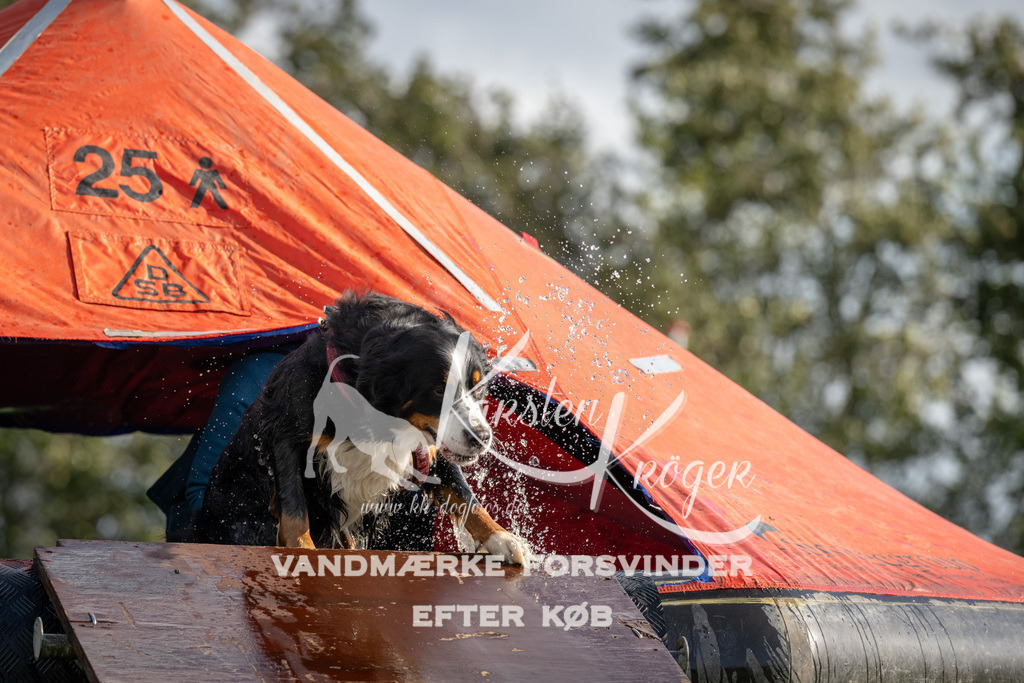 1430-94370 | kk-dogfotos