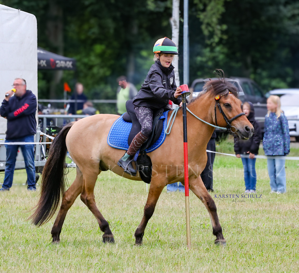 1B3A0276 | Reitsport Reiten