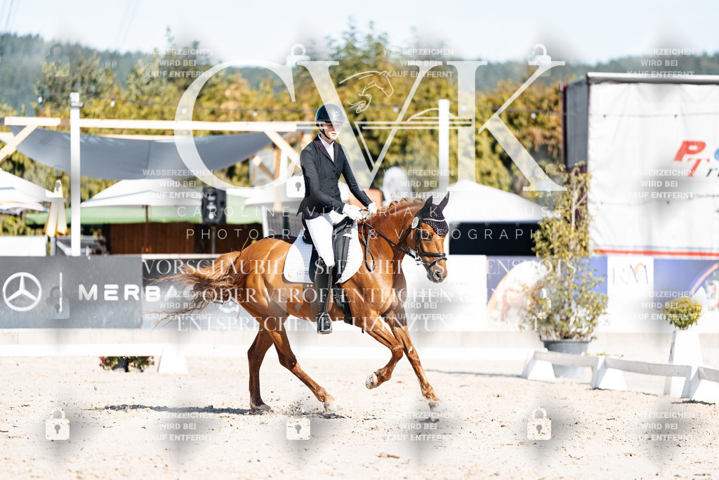 CK907882 | Turnierfotografie Pferdefotografie Trier Rheinland-Pfalz Pferdesport Reitsport Tierfotografie Sportfotografie Pferdevideo Pferdevideografie Equestrianvideography equestrianphotography  - Realisiert mit Pictrs.com