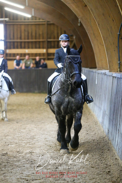 IMG_1417 | Turniersportfotografie; Pferdefotografie; Dressurfotografie