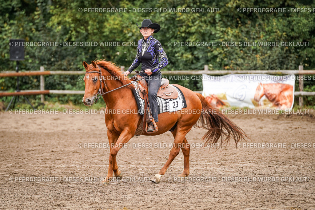 DSC05019 | Pferdegrafie