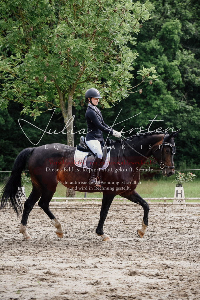 DSC_0582 | Pferde- und Turnierfotografie in Westsachsen. Pferdeportraits, Auftragszeichnungen und intuitive Kunst.