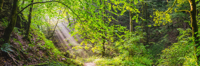 RO_Valea_Sighistelului_4500px_shortside