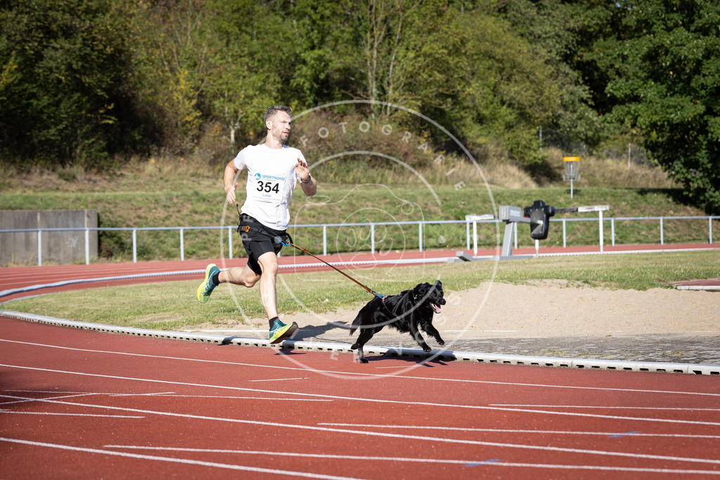 Pfotenfotografie_DV3A9722 | Hundefotografie, Tierfotograf, Pfotenfotografie, Fotoshooting Hund, Hunde Portrait, Hundesport, Hundeportraits, Heideshooting, Hunde, Sportfotograf, Hundefotograf, Turnierhundsport, THS,  - Realisiert mit Pictrs.com
