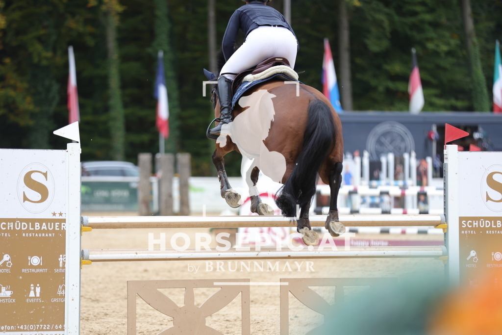 0P6A7569 | Willkommen bei Brunnmayr - Design & Fotografie – Ihrem Spezialisten für Reitturniere und Pferdeveranstaltungen in Oberösterreich, Salzburg und Bayern! Seit über 17 Jahren sind wir leidenschaftlich dabei.