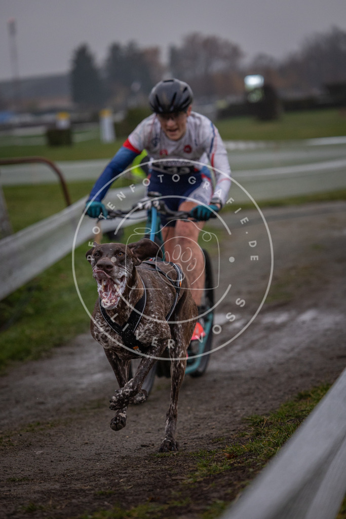 CaniXpix_0L8A0249 | Hundefotografie, Tierfotograf, Pfotenfotografie, Fotoshooting Hund, Hunde Portrait, Hundesport, Hundeportraits, Heideshooting, Hunde, Sportfotograf, Hundefotograf, Turnierhundsport, THS,  - Realisiert mit Pictrs.com
