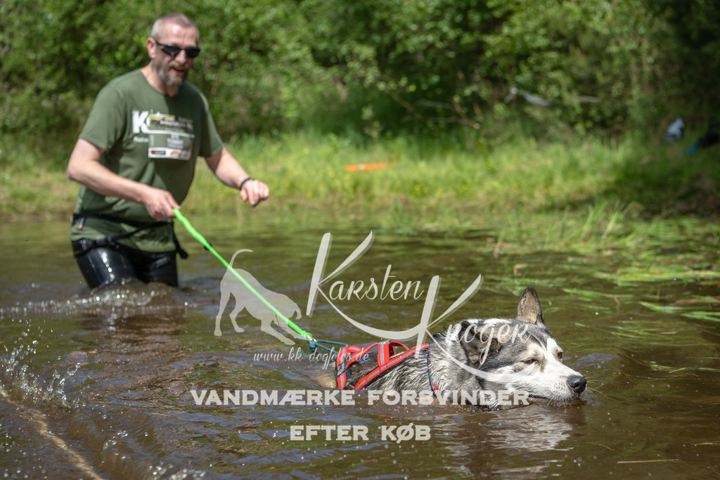 1218DKK992529 | kk-dogfotos