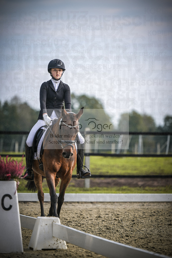 DOS_B138 | Entdecke hochwertige Reitturnierfotos von Foto Oger. Professionell, emotional und authentisch – jetzt Lieblingsmomente im Shop bestellen.Deutschlandweite Turnierfotografie. - Realisiert mit Pictrs.com