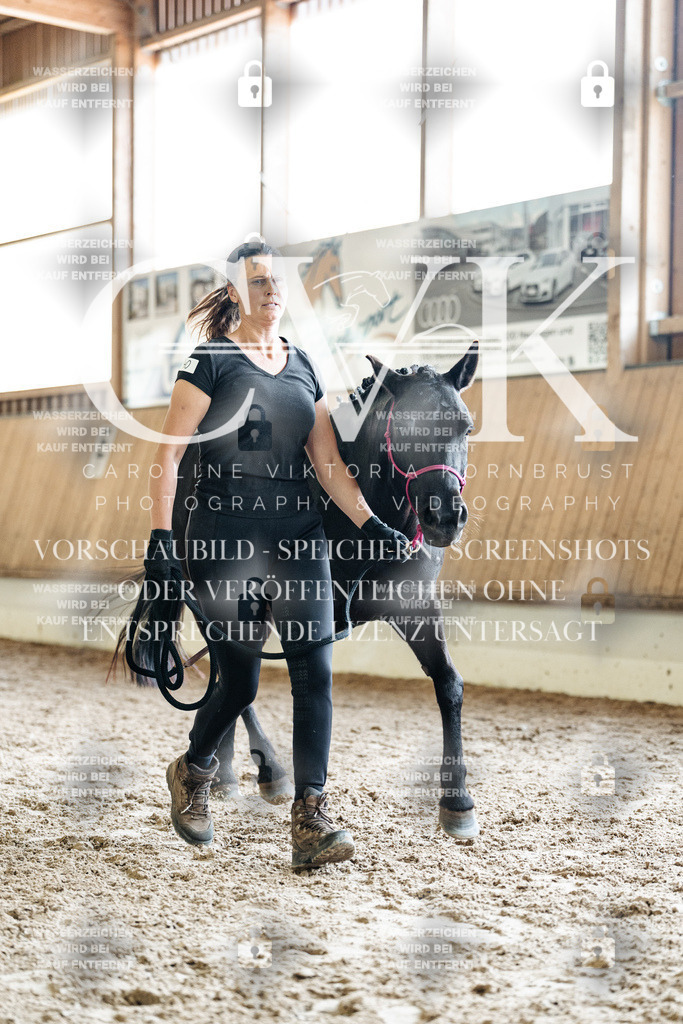 CK908335 | Turnierfotografie Pferdefotografie Trier Rheinland-Pfalz Pferdesport Reitsport Tierfotografie Sportfotografie Pferdevideo Pferdevideografie Equestrianvideography equestrianphotography  - Realisiert mit Pictrs.com