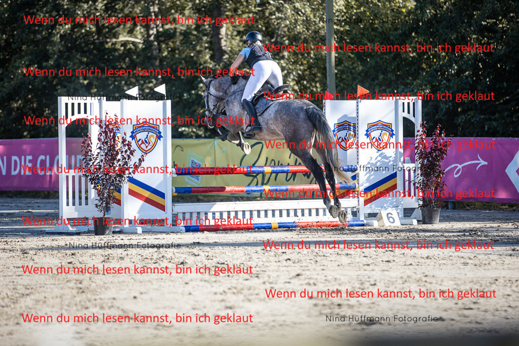 BK1A7512 | Turnierbilder Turnierfotos Nina Hüffmann Turnierfotografie Pferdefotografie Tierzeichnung Haustierzeichnung Pferdezeichnung Hundezeichnung Videograf  - Realisiert mit Pictrs.com