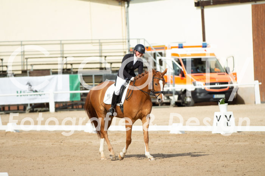 IMG_0784 | Creatify Fotografie