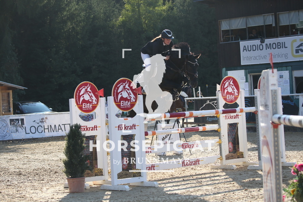 DL2Q5739 | Willkommen bei Brunnmayr - Design & Fotografie – Ihrem Spezialisten für Reitturniere und Pferdeveranstaltungen in Oberösterreich, Salzburg und Bayern! Seit über 17 Jahren sind wir leidenschaftlich dabei.