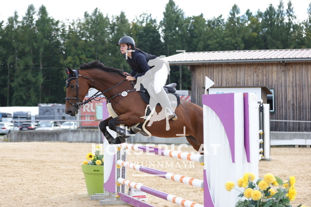 0P6A5157 | Willkommen bei Brunnmayr - Design & Fotografie – Ihrem Spezialisten für Reitturniere und Pferdeveranstaltungen in Oberösterreich, Salzburg und Bayern! Seit über 17 Jahren sind wir leidenschaftlich dabei.
