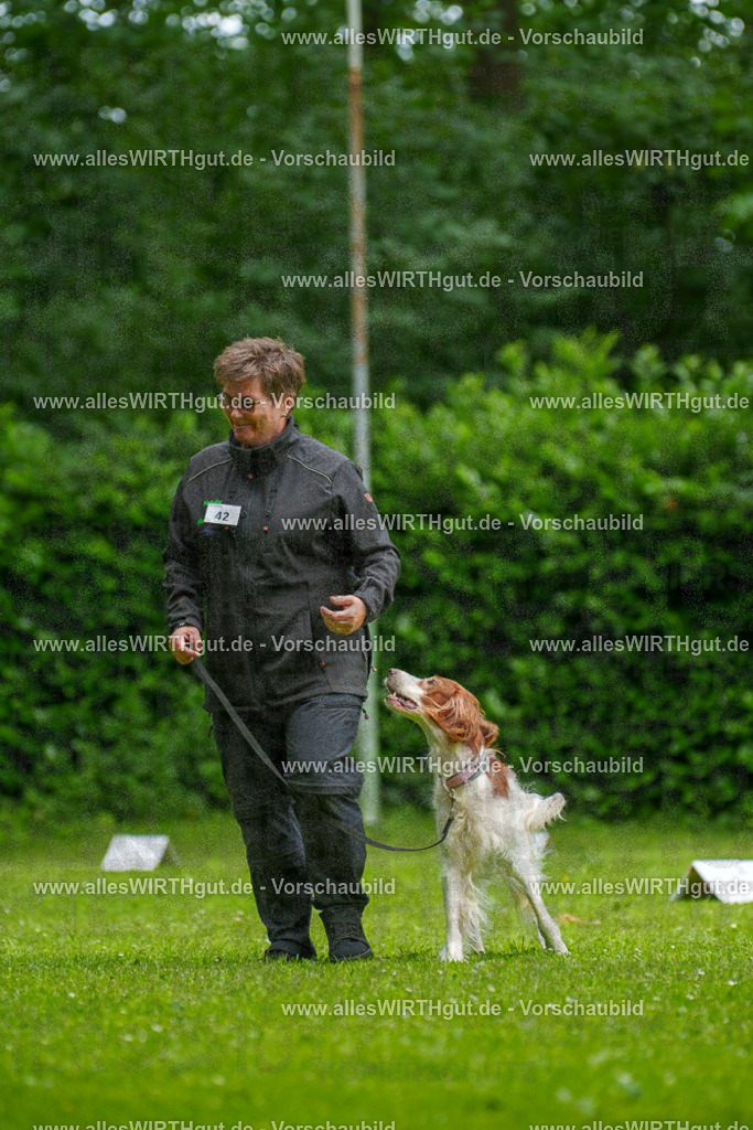 @allesWIRTHgut_Tierfotografie - www.allesWIRTHgut.de - 131349-7R509920 | Professionelle Tierfotografie in Mönchengladbach von Daniel Wirth (allesWIRTHgut). Liebevolle & natürliche Bilder von Hunden & Katzen für unvergessliche Erinnerungen.