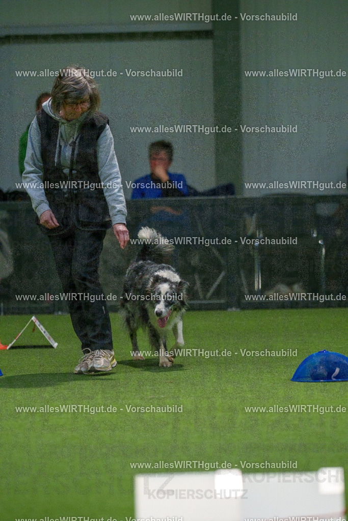 7R504451 | Professionelle Tierfotografie in Mönchengladbach von Daniel Wirth (allesWIRTHgut). Liebevolle & natürliche Bilder von Hunden & Katzen für unvergessliche Erinnerungen.