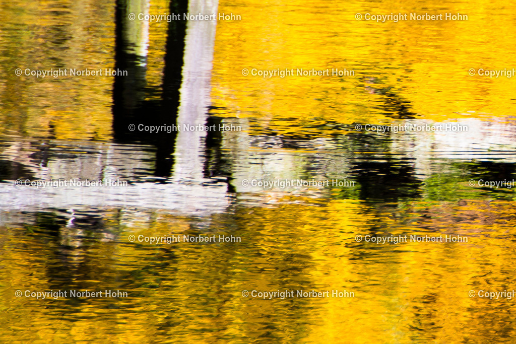 Reisefotografie - Deutschland - Rastede | Wasserspiegelung einer vermoderten Brücke im Brackwasser eines Teiches im Schloßgarten von Rastede.  - Realisiert mit Pictrs.com