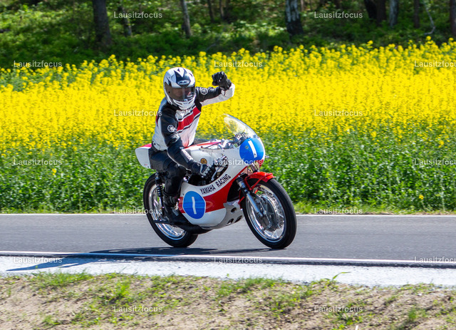 _H3A3033 | lausitzfocus - Realisiert mit Pictrs.com