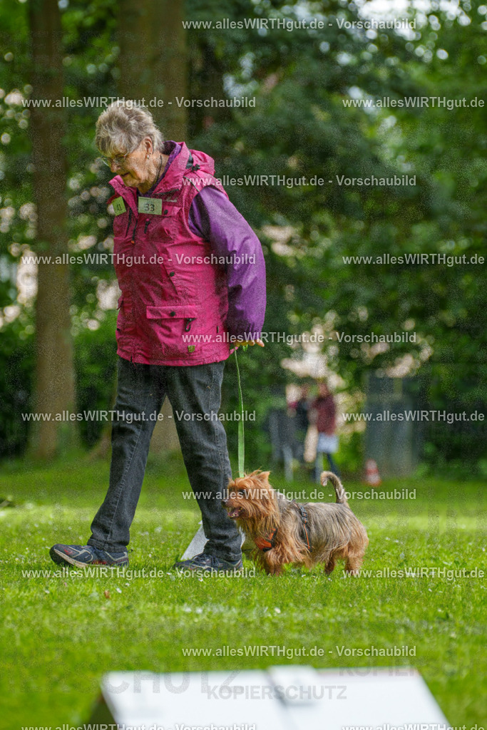 @allesWIRTHgut_Tierfotografie - www.allesWIRTHgut.de - 122148-7R508895 | Professionelle Tierfotografie in Mönchengladbach von Daniel Wirth (allesWIRTHgut). Liebevolle & natürliche Bilder von Hunden & Katzen für unvergessliche Erinnerungen.