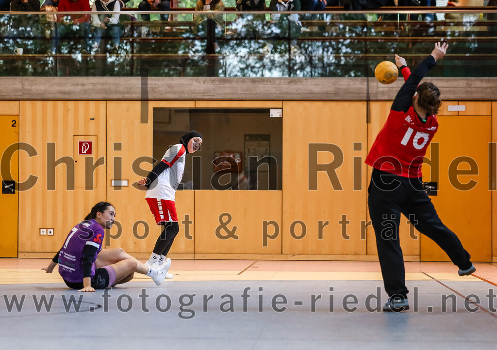 2024-10-13_068_SpVgg_Altenerding_gegen_SC_Freising | Erding, Deutschland, 13.10.2024:Handball, Bezirksoberliga Frauen Altbayern 2024 / 2024, 3. Spieltag, SpVgg Altenerding gegen SC Freising, Endergebnis: 26:35Michelle Gruber (SpVgg Altenerding, #7), Eduarta Krasnigi (HSG Freising-Neufahrn, #4), Hanna Knecht (HSG Freising-Neufahrn, #16)Foto: Christian Riedel / fotografie-riedel.net