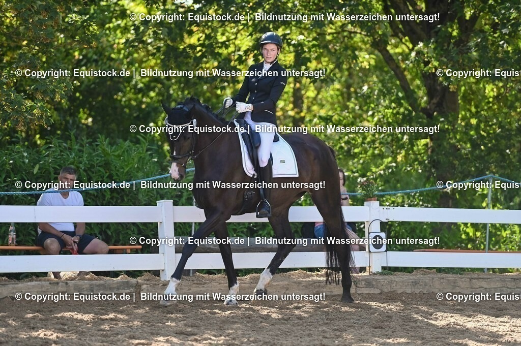 20230715_06_Dressurpferdeprfg. Kl.A_0375 | equistock