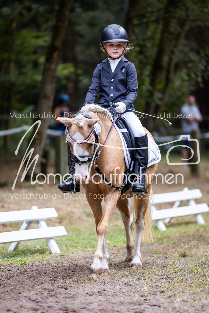 HB-Reiter-WB-031 | MomenTaufnahmen Pferdesportfotos