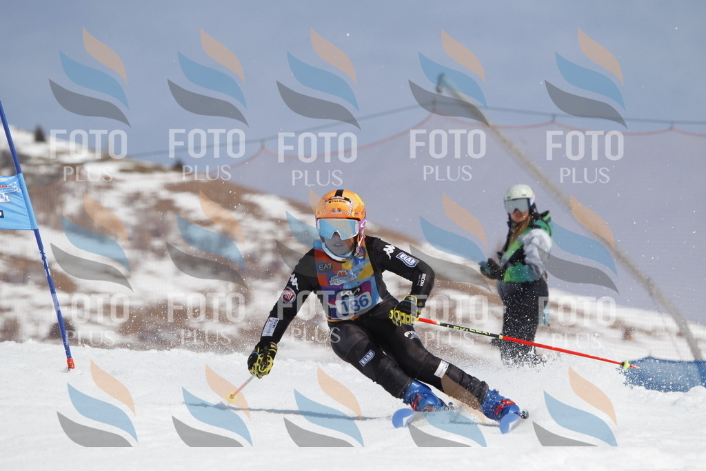 _U3G1828 | holidayphoto