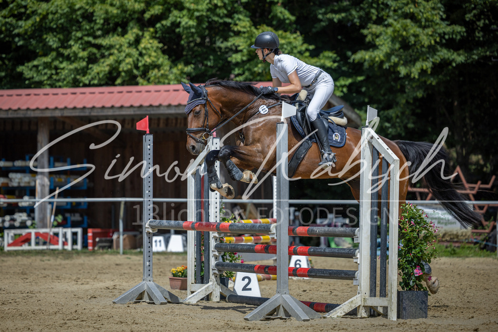 20260704-_3LI0438 | Tierfotografie Pferde, Hunde, Katzen, Haustiere.
Turnierfotografie Reitturniere, Reiten, Springreiten, Dressur in Hanau, dem Main-Kinzig-Kreis und dem Rhein-Main- Gebiet um Frankfurt