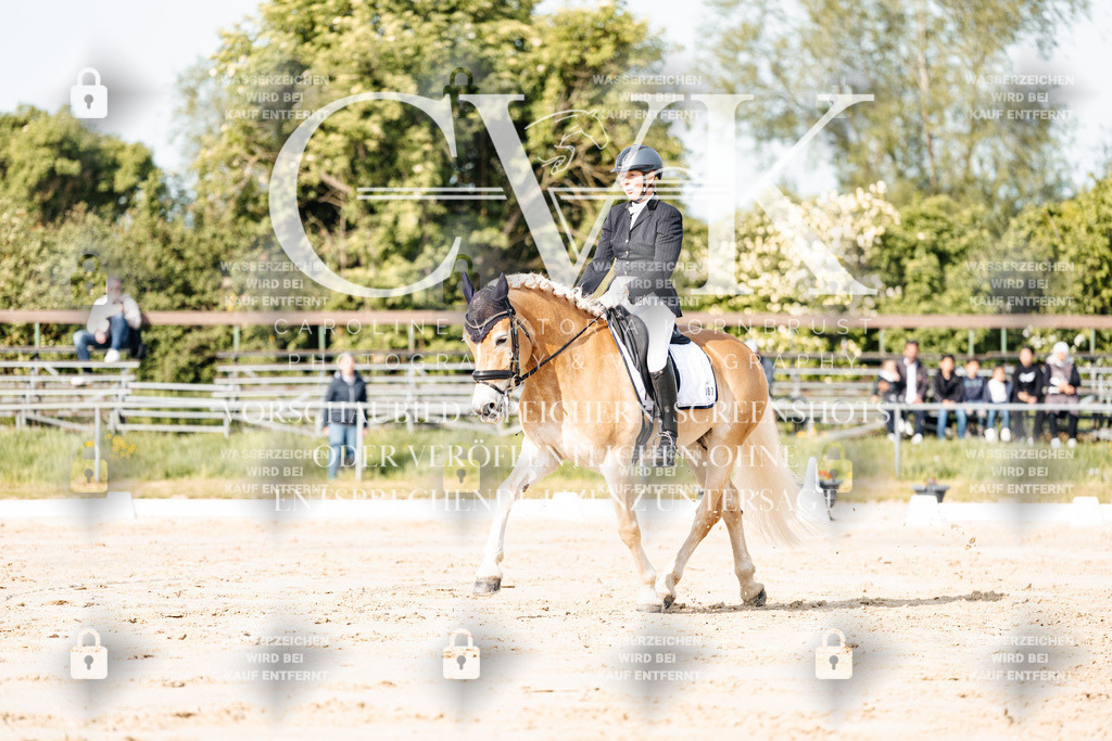 CK900135 | Turnierfotografie Pferdefotografie Trier Rheinland-Pfalz Pferdesport Reitsport Tierfotografie Sportfotografie Pferdevideo Pferdevideografie Equestrianvideography equestrianphotography  - Realisiert mit Pictrs.com