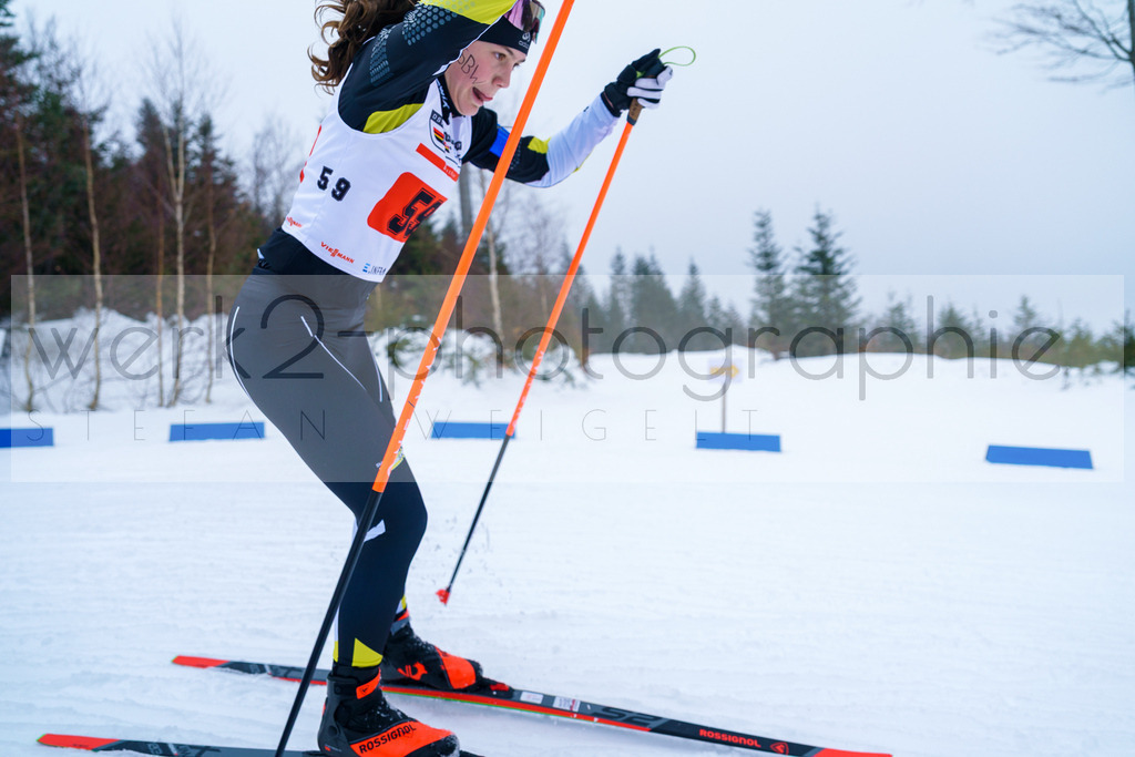 DSC Arber | Bayerischer Wald am 9. bis 12. Februar 2023
