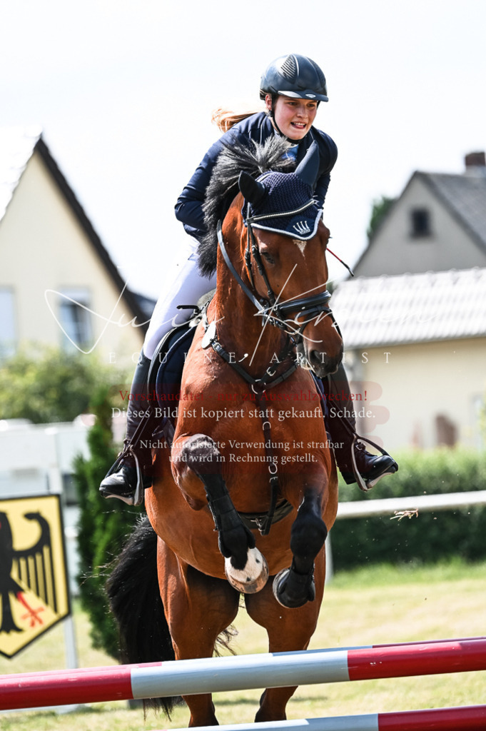 DSC_9334 | Pferde- und Turnierfotografie in Westsachsen. Pferdeportraits, Auftragszeichnungen und intuitive Kunst.