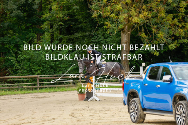 _62_8964 | larahueckfotografie