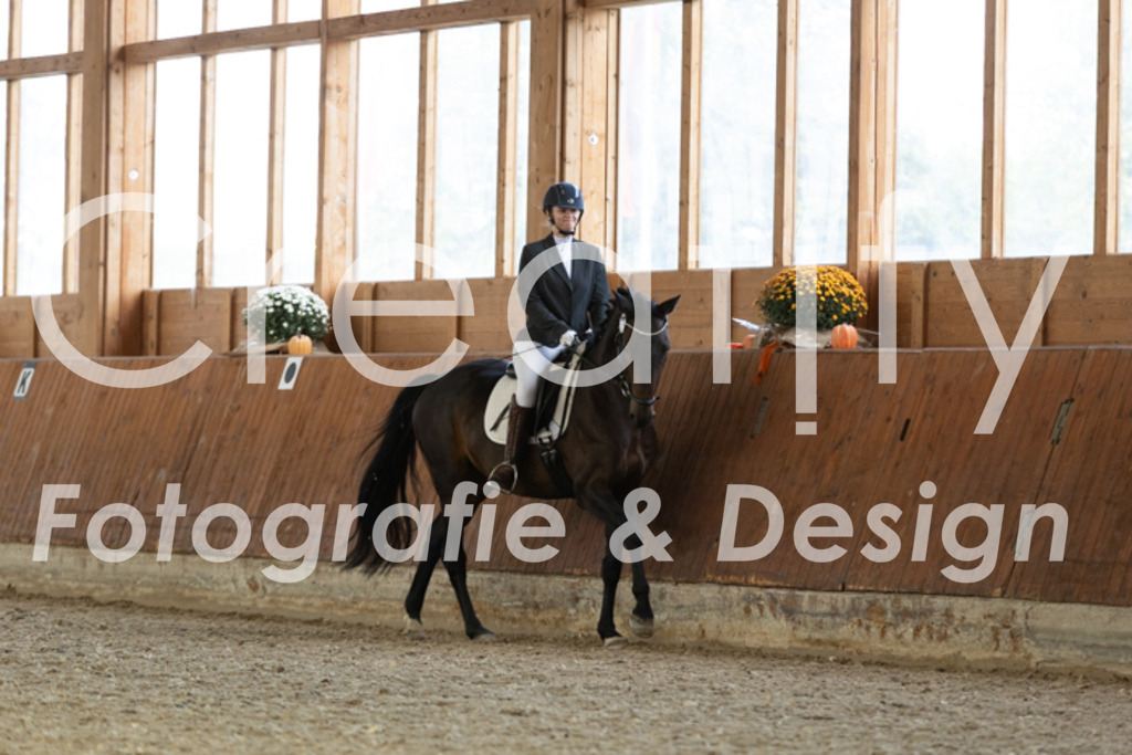 IMG_5686 | Creatify Fotografie