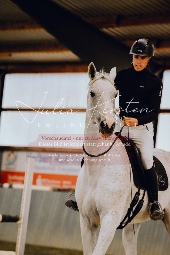 DSC_6967 | Pferde- und Turnierfotografie in Westsachsen. Pferdeportraits, Auftragszeichnungen und intuitive Kunst.