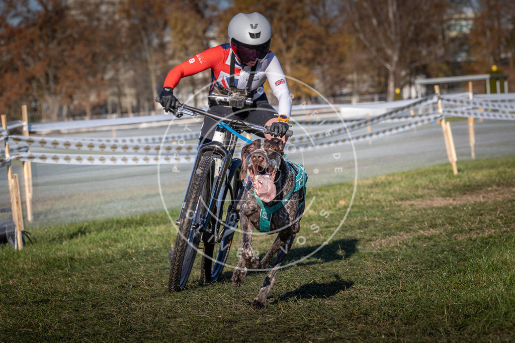 CaniXpix_0L8A4780 | Hundefotografie, Tierfotograf, Pfotenfotografie, Fotoshooting Hund, Hunde Portrait, Hundesport, Hundeportraits, Heideshooting, Hunde, Sportfotograf, Hundefotograf, Turnierhundsport, THS,  - Realisiert mit Pictrs.com