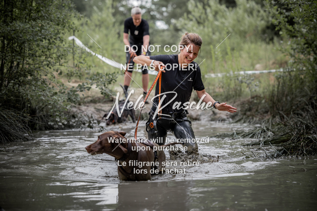 nelerasche_so0800-0930_337 | nelerasche