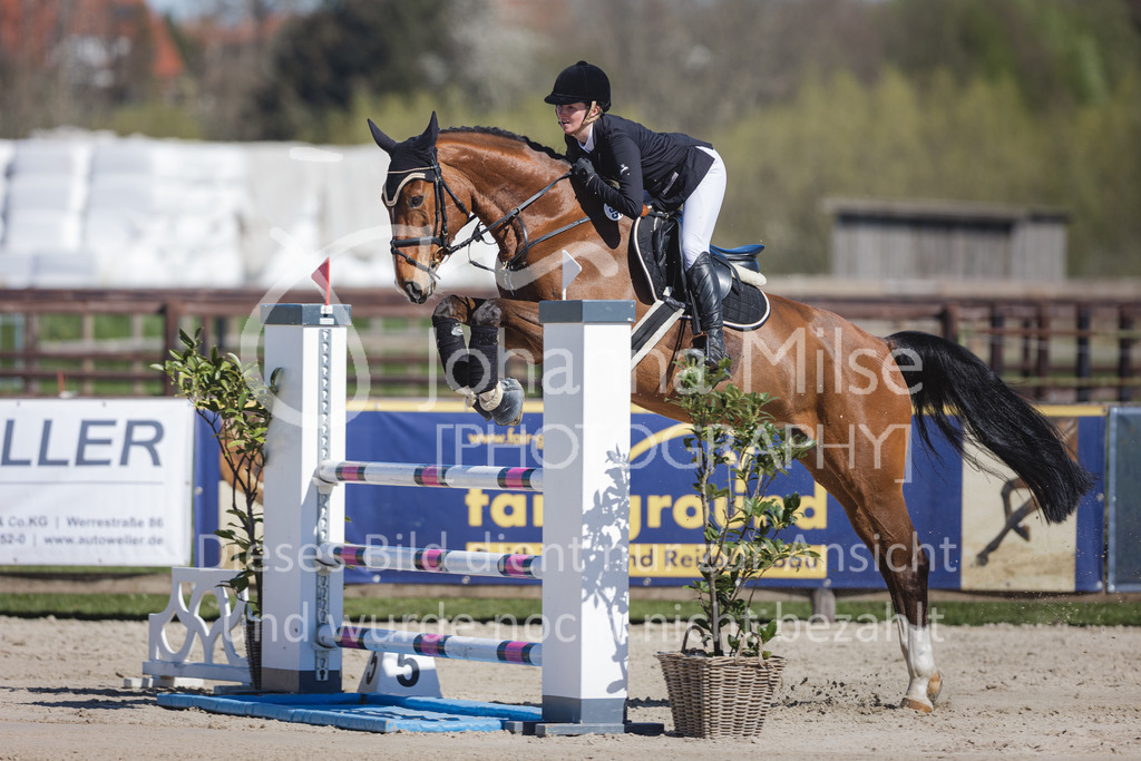 220416_4_L-Stil2-503 | Frühlingsfest der Pferde
Herford
16.April 2022
04/2 Stilspringprüfung Kl.L geschlossen 79-481 RLP