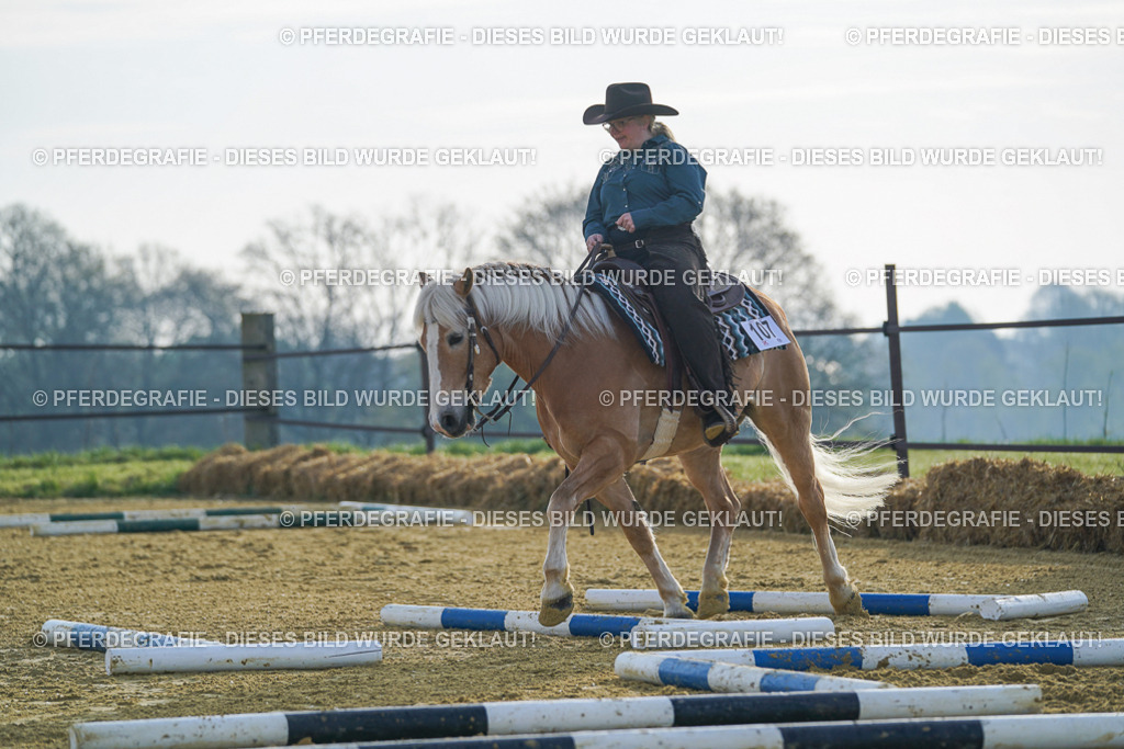 DSC00339 | Pferdegrafie