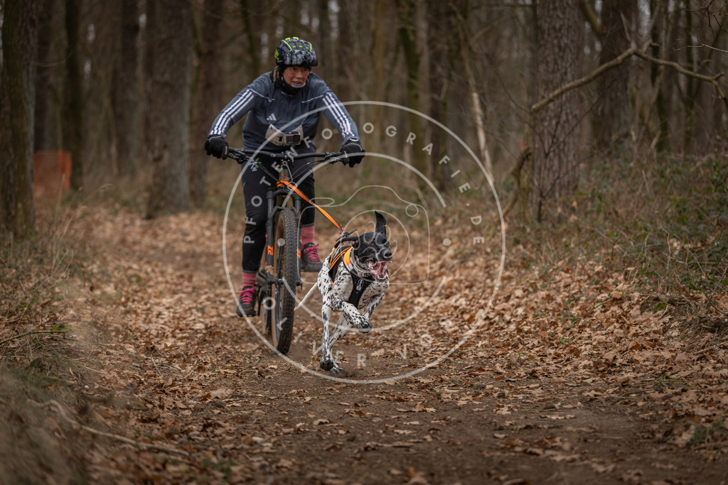 Pfotenfotografie_DV3A7021 | Hundefotografie, Tierfotograf, Pfotenfotografie, Fotoshooting Hund, Hunde Portrait, Hundesport, Hundeportraits, Heideshooting, Hunde, Sportfotograf, Hundefotograf, Turnierhundsport, THS,  - Realisiert mit Pictrs.com
